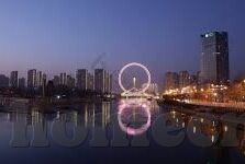 森林舞会大家输了多少-森林舞会，一场意外的输家